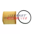 Filtre à huile FAST FT38100 - Visuel 1