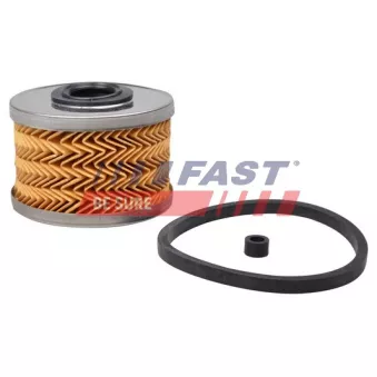 Filtre à carburant FAST FT39070