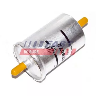 Filtre à carburant FAST FT39072