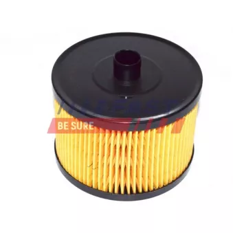 Filtre à carburant FAST