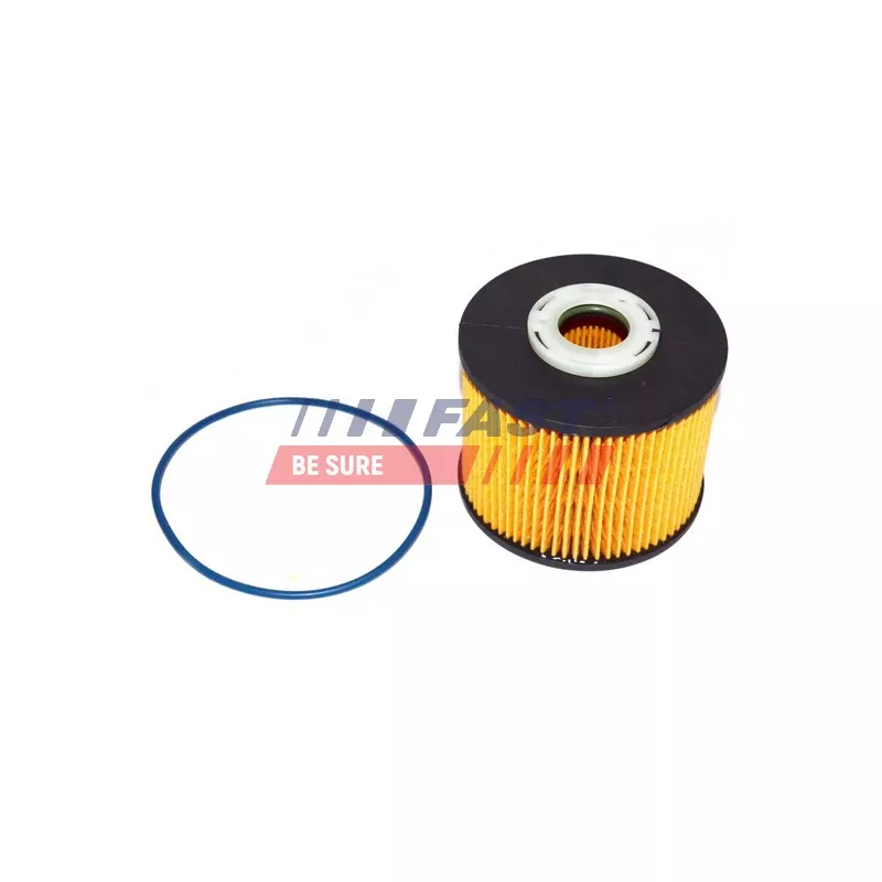 Filtre à carburant FAST FT39077