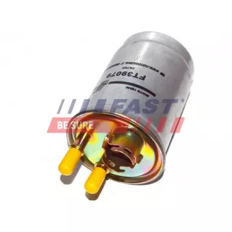Filtre à carburant FAST FT39079