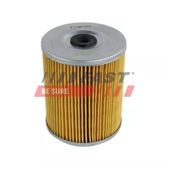 Filtre à carburant FAST FT39100
