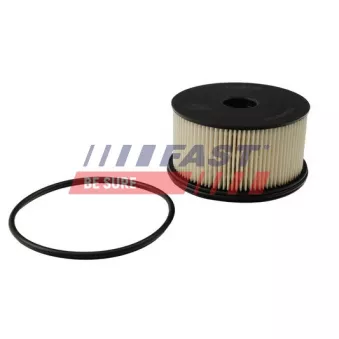 Filtre à carburant FAST FT39113