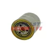 Filtre à carburant FAST FT39149 - Visuel 2