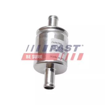 Filtre à carburant FAST FT39251