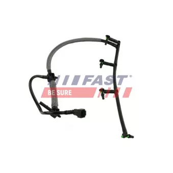 Tuyau, carburant de fuite FAST