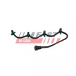 Tuyau de carburant FAST FT39553 - Visuel 1