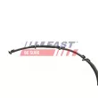 Tuyau, carburant de fuite FAST FT39600 - Visuel 3