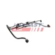 Tuyau, carburant de fuite FAST FT39613 - Visuel 1