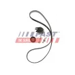 Courroie de distribution FAST FT41116 - Visuel 2
