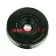 Poulie, vilebrequin FAST FT45569 - Visuel 1