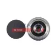 Poulie, alternateur FAST FT45641 - Visuel 1