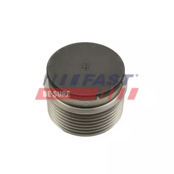 Poulie, alternateur FAST FT45646