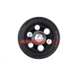 Poulie, vilebrequin FAST FT45667 - Visuel 2