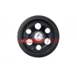 Poulie, vilebrequin FAST FT45667 - Visuel 3