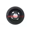 Poulie, vilebrequin FAST FT45672 - Visuel 3