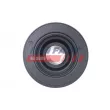 Poulie, vilebrequin FAST FT45676 - Visuel 2