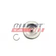 Piston FAST FT47131/0 - Visuel 2