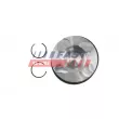 Piston FAST FT47134/0 - Visuel 1