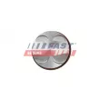 Piston FAST FT47135/0 - Visuel 2