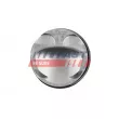 Piston FAST FT47138/0 - Visuel 2