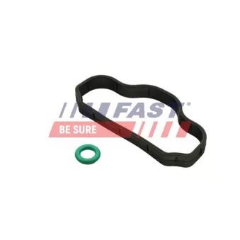 Joint d'étanchéité, vis de couvercle de culasse FAST FT48302