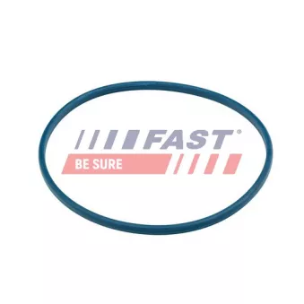 Joint d'étanchéité, goulotte de remplissage de carburant FAST FT48504