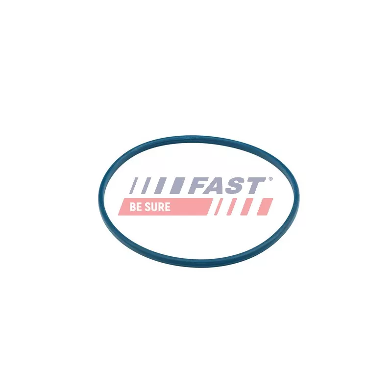 Joint d'étanchéité, goulotte de remplissage de carburant FAST FT48504