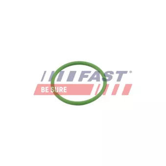 Joint, entrée de turbine (compresseur) FAST FT48803