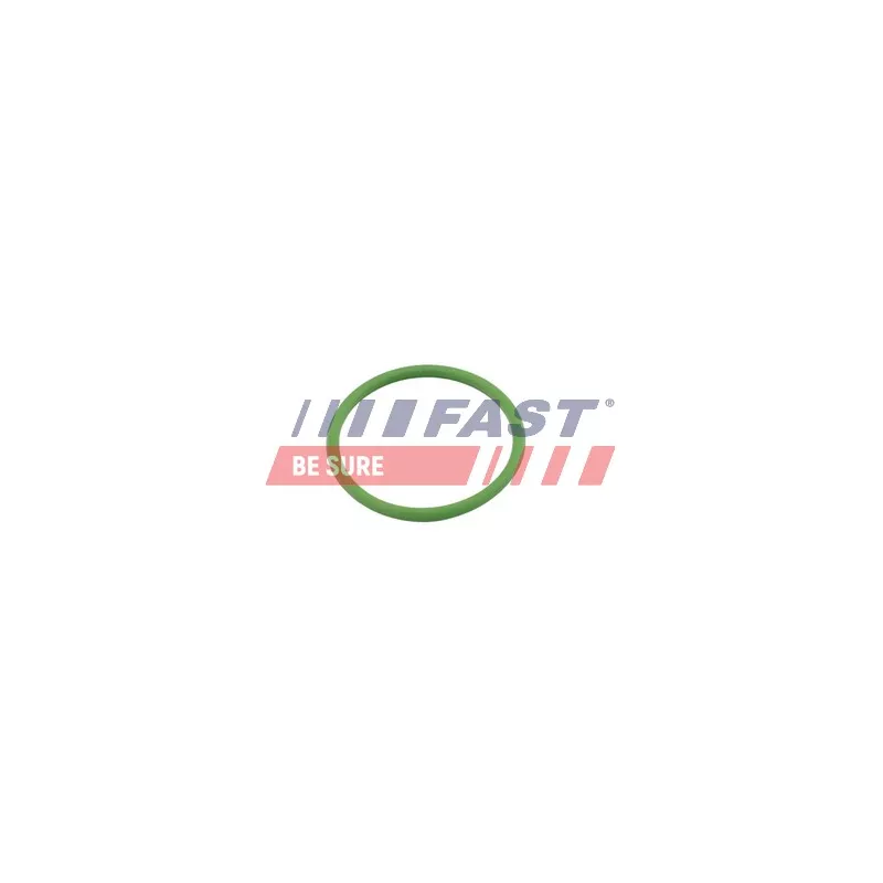 Joint, entrée de turbine (compresseur) FAST FT48803