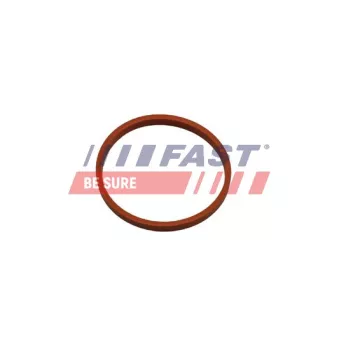 Bague d'étanchéité, gaine de suralimentation FAST FT48932