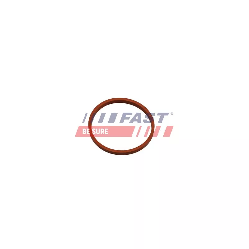 Bague d'étanchéité, gaine de suralimentation FAST FT48932