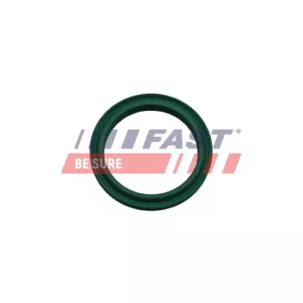 Bague d'étanchéité, gaine de suralimentation FAST FT48933