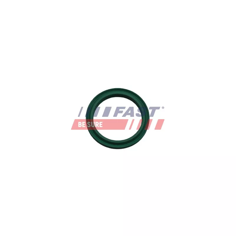 Bague d'étanchéité, gaine de suralimentation FAST FT48933