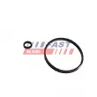 Joint, radiateur d'huile FAST FT48952 - Visuel 1