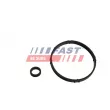 Joint, radiateur d'huile FAST FT48952 - Visuel 2