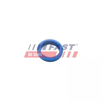 Joint, jauge de niveau d'huile FAST FT48955