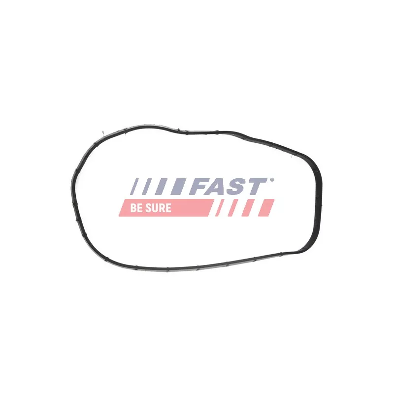 Joint d'étanchéité, carter de distribution FAST FT49065