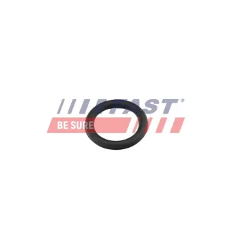 Joint d'étanchéité, collecteur d'admission FAST FT49419