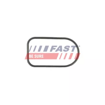 Joint d'étanchéité, collecteur d'admission FAST FT49425