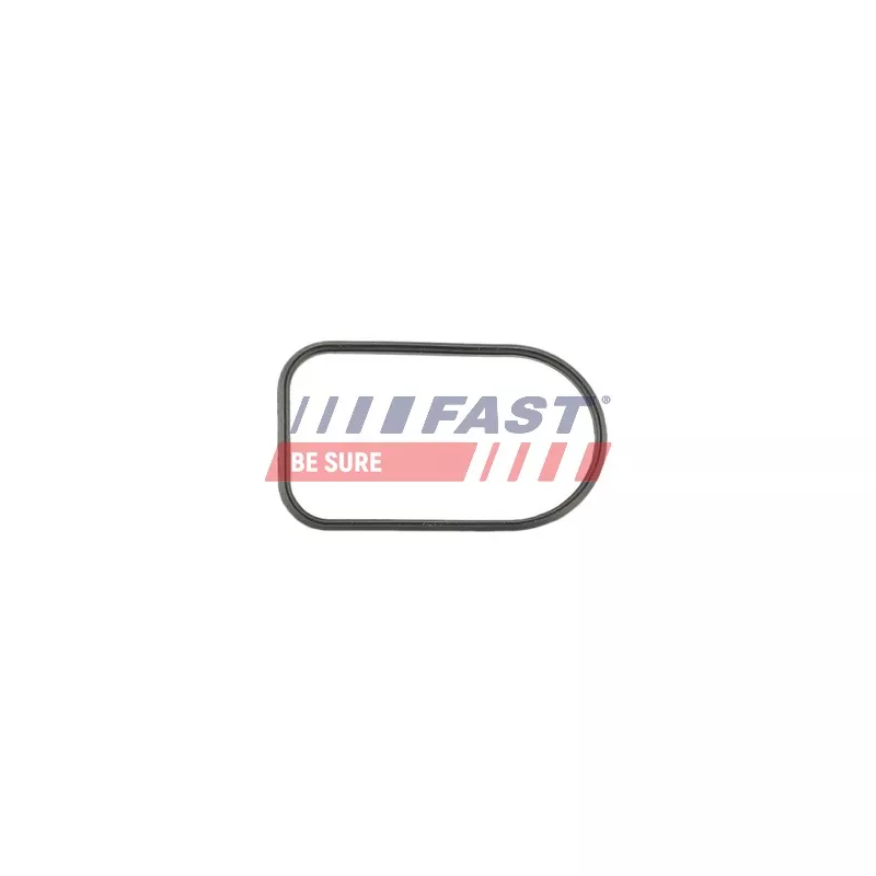 Joint d'étanchéité, collecteur d'admission FAST FT49425