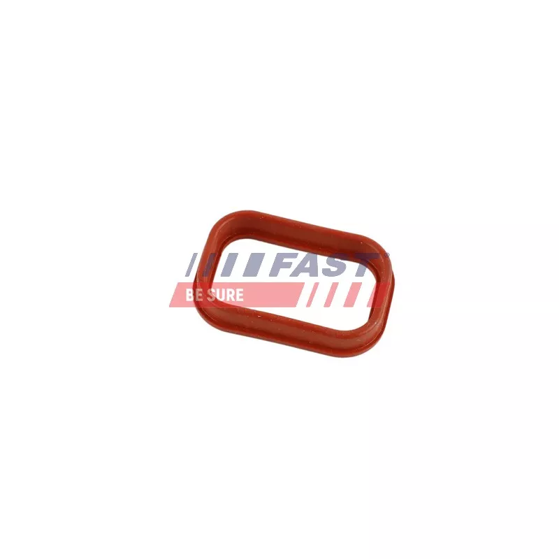 Joint d'étanchéité, collecteur d'admission FAST FT49435