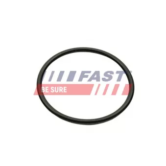 Joint d'étanchéité, collecteur d'admission FAST FT49460