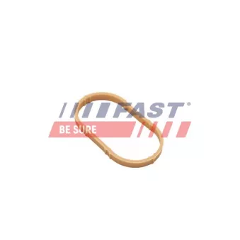 Joint d'étanchéité, collecteur d'admission FAST FT49461