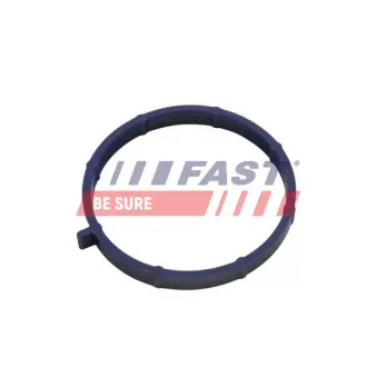 Joint d'étanchéité, collecteur d'admission FAST FT49467