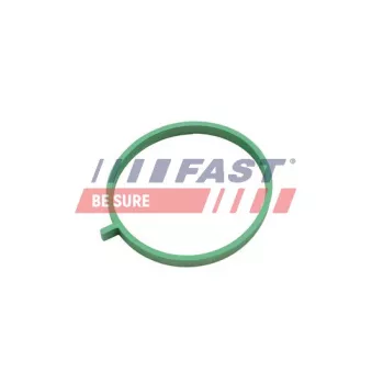 Joint d'étanchéité, collecteur d'admission FAST FT49472