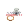 Vis-bouchon, carter d'huile FAST FT49503 - Visuel 1