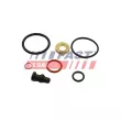 Kit de réparation, unité pompe-injecteur FAST FT49655 - Visuel 1