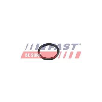 Joint, Bride de liquide de refroidissement FAST FT49856